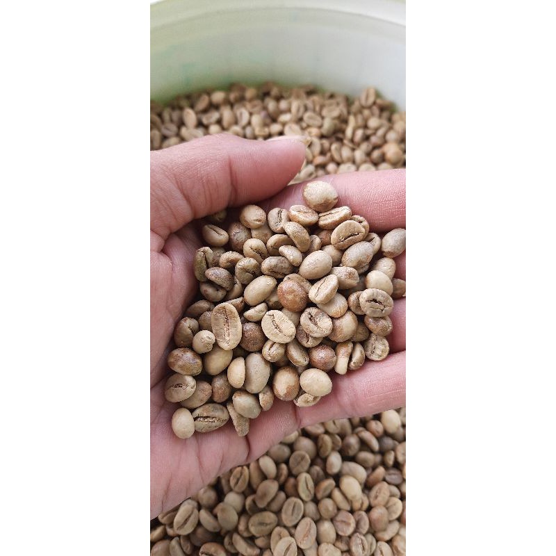 1kg biji kopi robusta mentah petik merah  green bean natural proses   temanggung