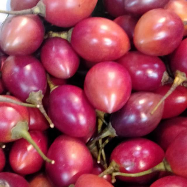 

Terong Belanda ( 1kg )