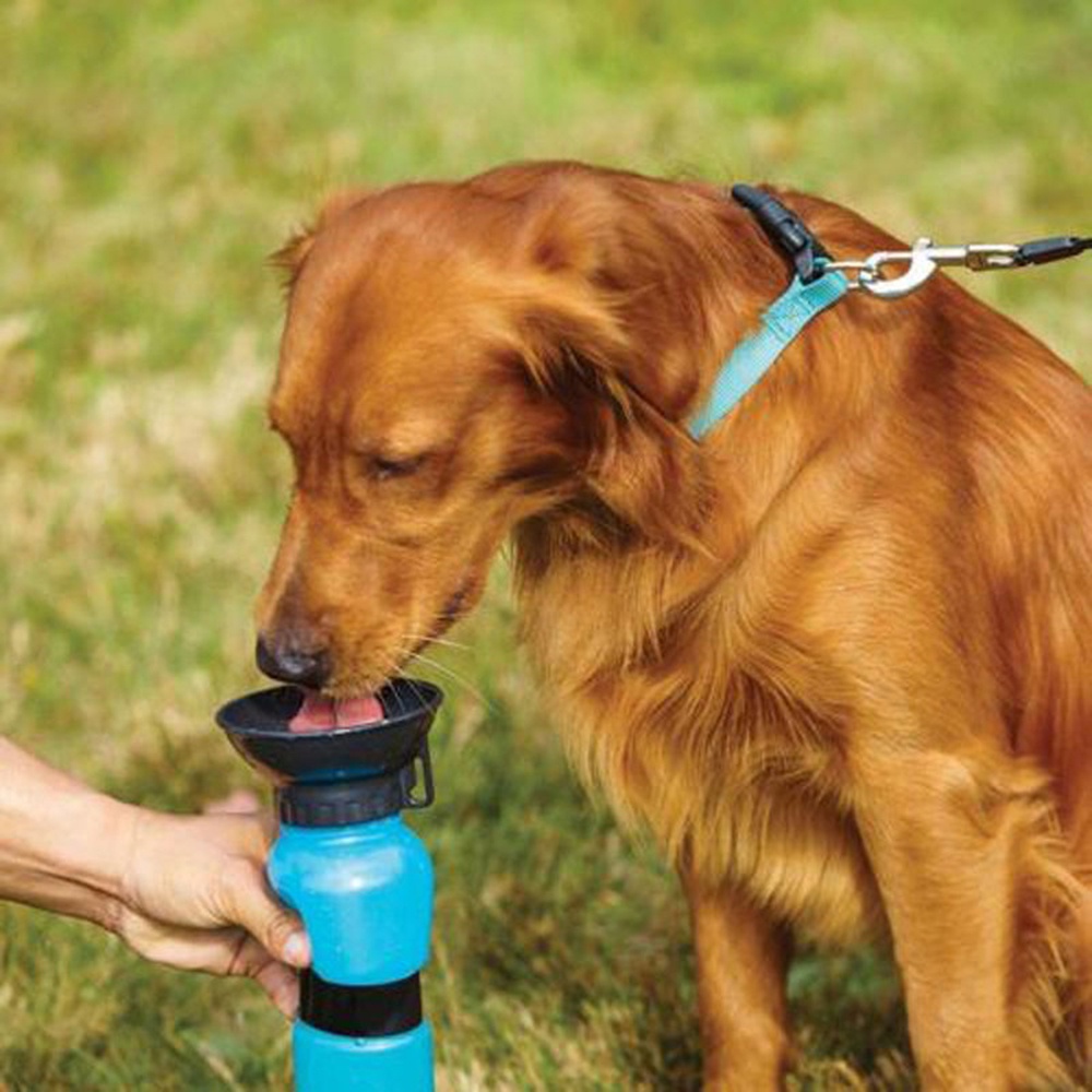 【COD Tangding】Mangkok Makan / Minum Anjing Portable 500ML Untuk Outdoor