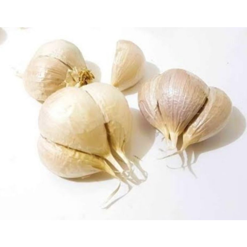 

bawang putih kating