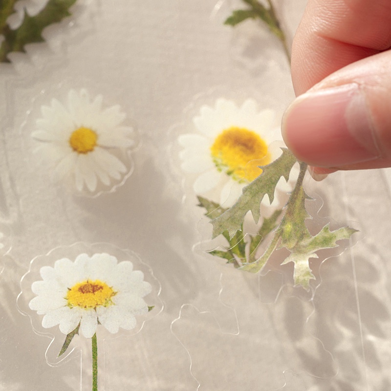 6 Types vintage transparent PET sticker pack gypsophila flowers retro plants flowers special-shaped hand account journal album decoration DIY material stickers-Won