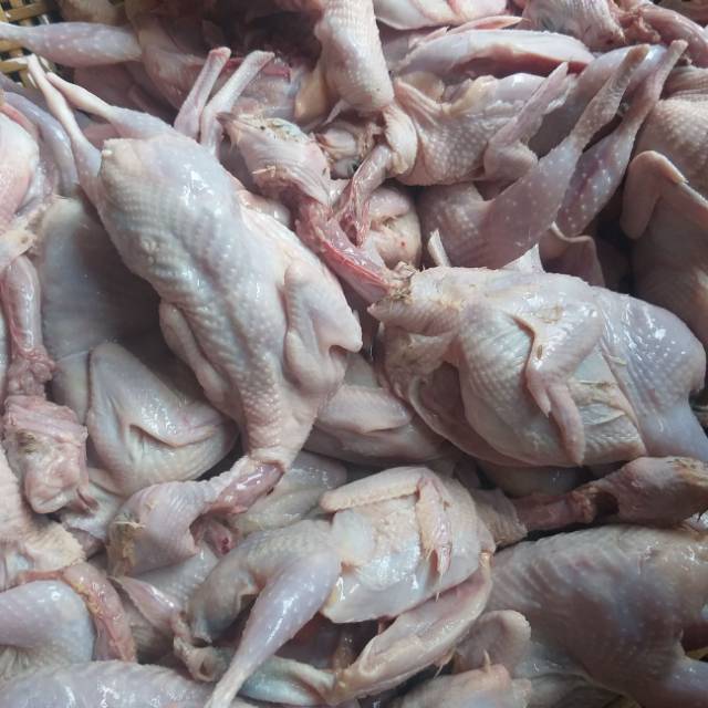 

Daging Puyuh Bandung