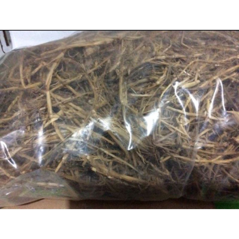 

akar alang alang kering 500 gr