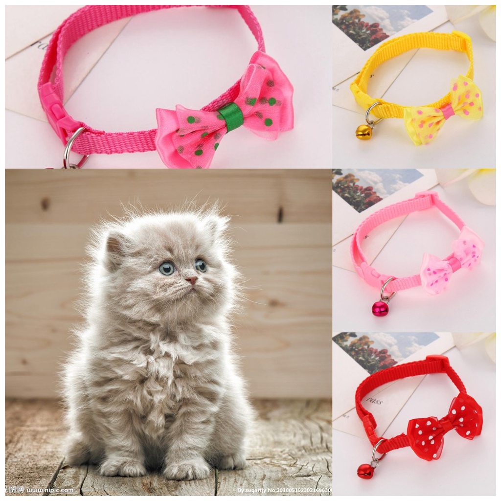 【Ready stock】Ikatan Simpul Kalung Bell Kerah Kucing Kerah Hewan Peliharaan Yang Dapat Disesuaikan Aksesoris fashion murah COD