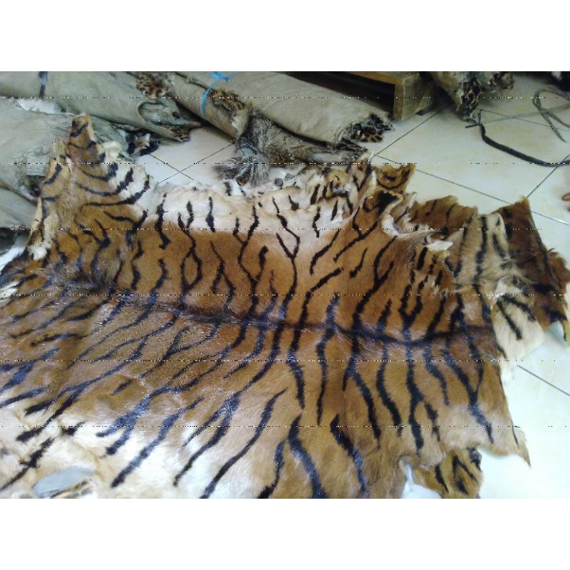 kulit kambing lembaran motif macan