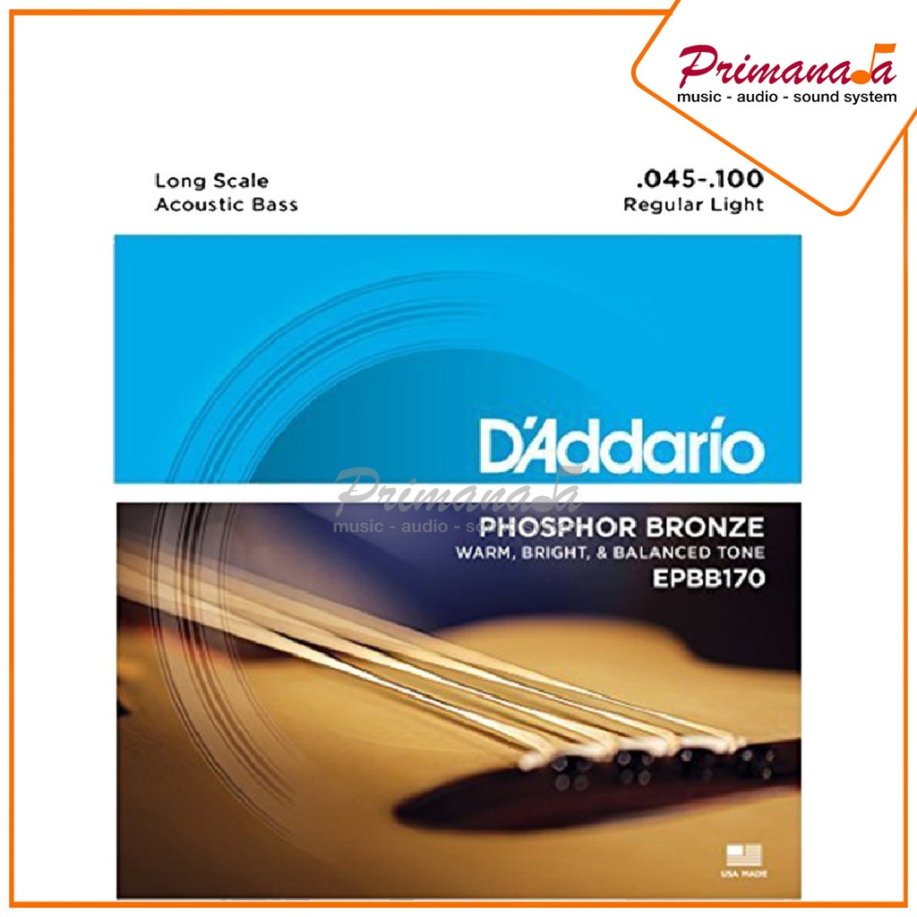 Senar Bass Akustik Daddario EPBB170 Dadario EPBB 170 Accoustic Basses D'Addario Original