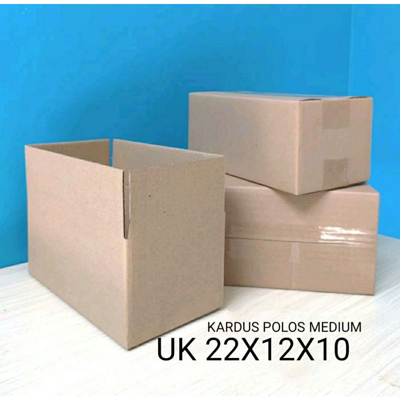 Termurah Kardus packing Uk22x12x10cm polos