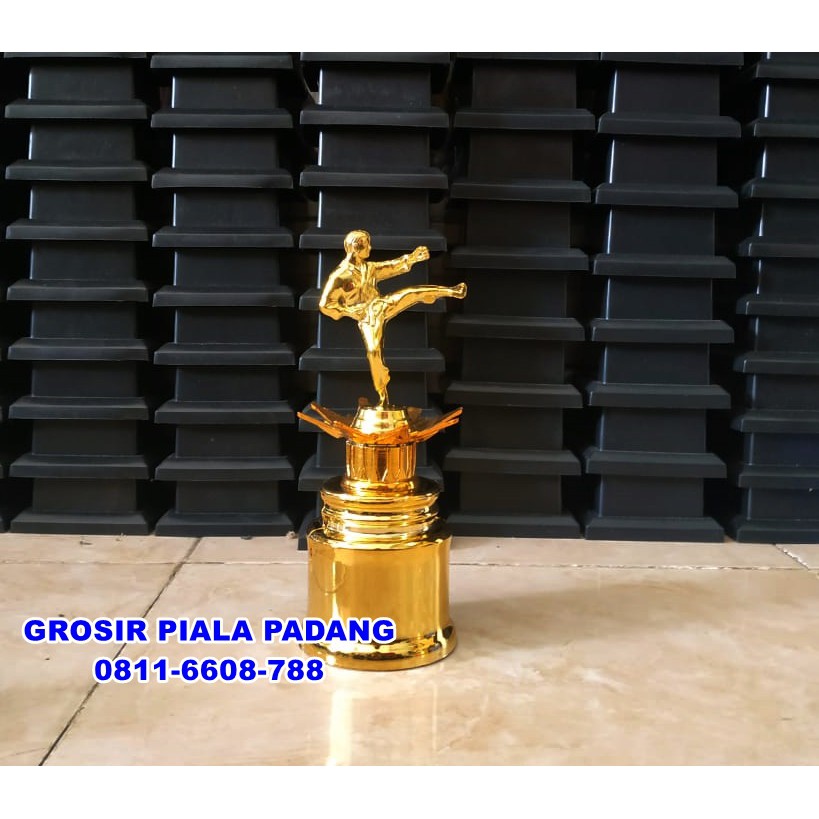 Jual Pialatrophy Untuk Kejuaraan Taekwondo Pencaksilat Dan Champion Random Figur Gratis Tulisan 3701