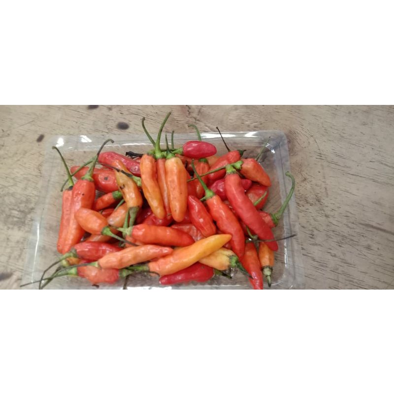 

Cabai setan segar 1 ons