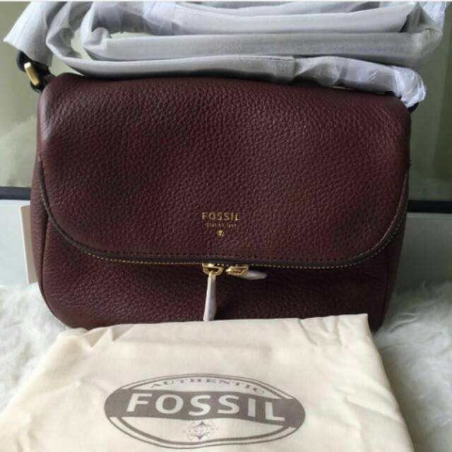 Tas Fossil ori