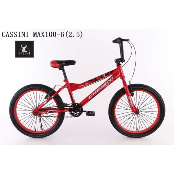 Sepeda Anak BMX Cassini MAX100-6 20inch 2.5