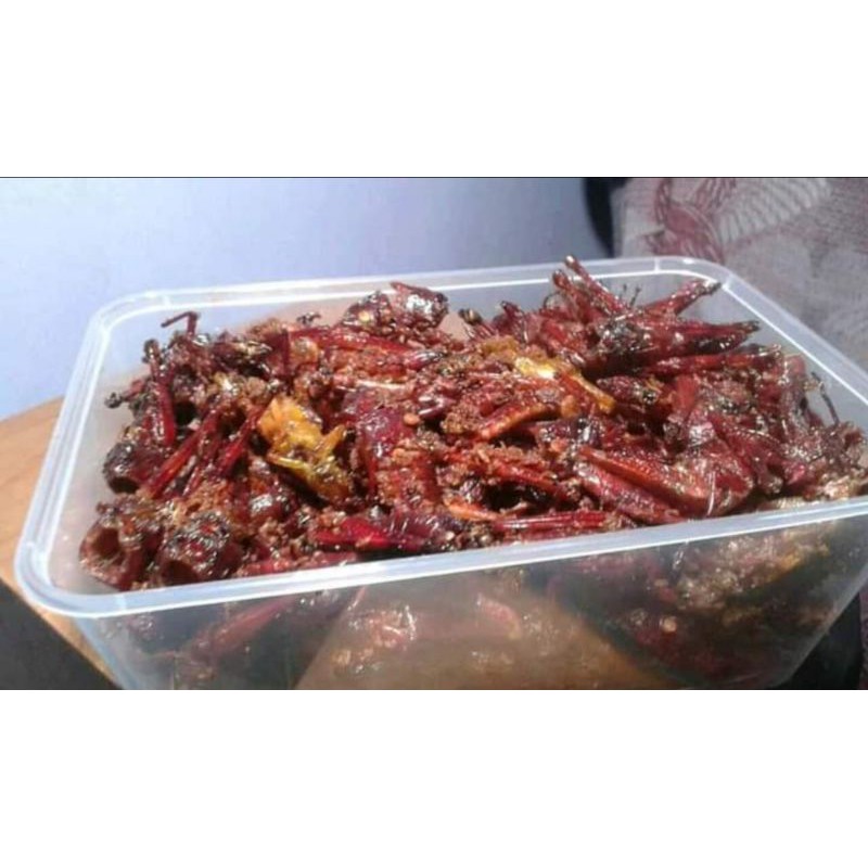 

belalang goreng