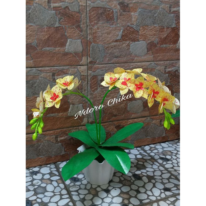 Anggrek bulan plastik kresek KUNING