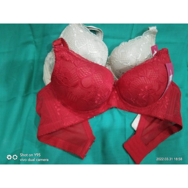 bh lydyly 801