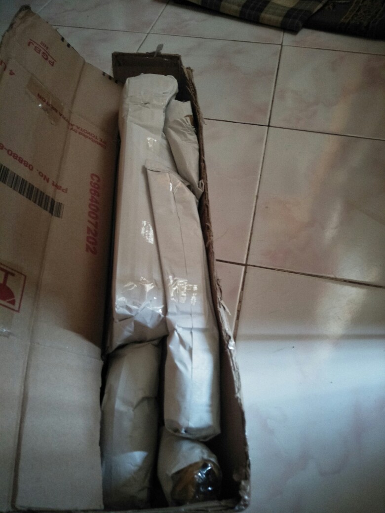 Tanaman Hias Aechmea Gamosepala/bromelia Jagung/bromelia Putih Varigata