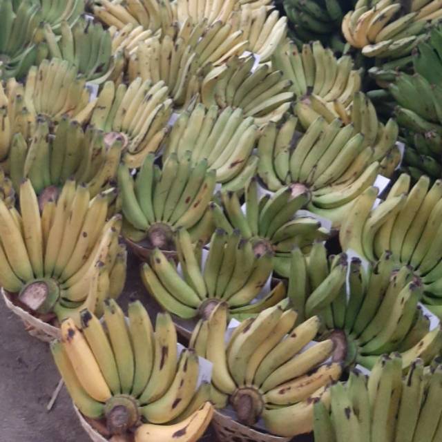 

Pisang Ambon