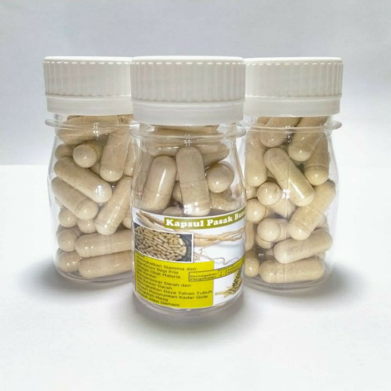 30 Kapsul Pasak Bumi Obat Jamu Herbal Kuat Pria Tongkat Ali
