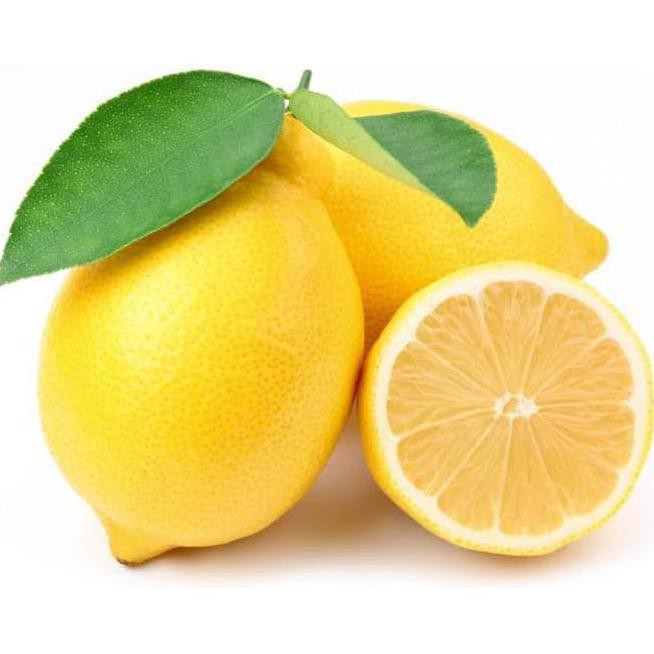 I1N Nh1 Bibit Tanaman Buah Jeruk Lemon Amerika 70 Cm Free Ongkir N4Wf