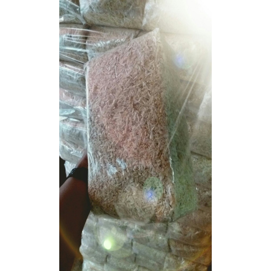 Serbuk Kayu Kucing hamster Kelinci . Serbuk lembut kayu jati