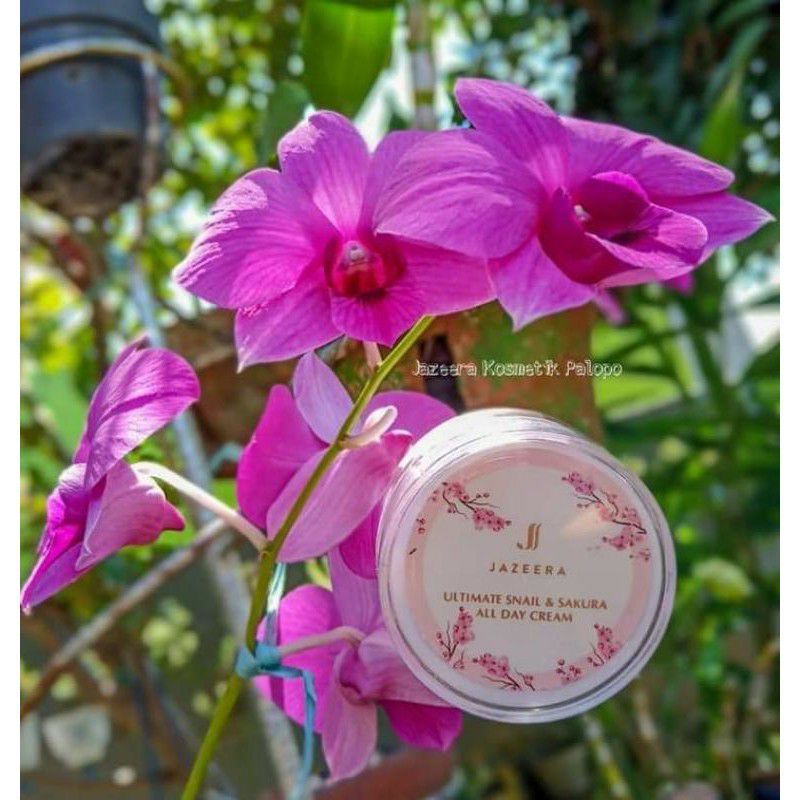 jazeera cream