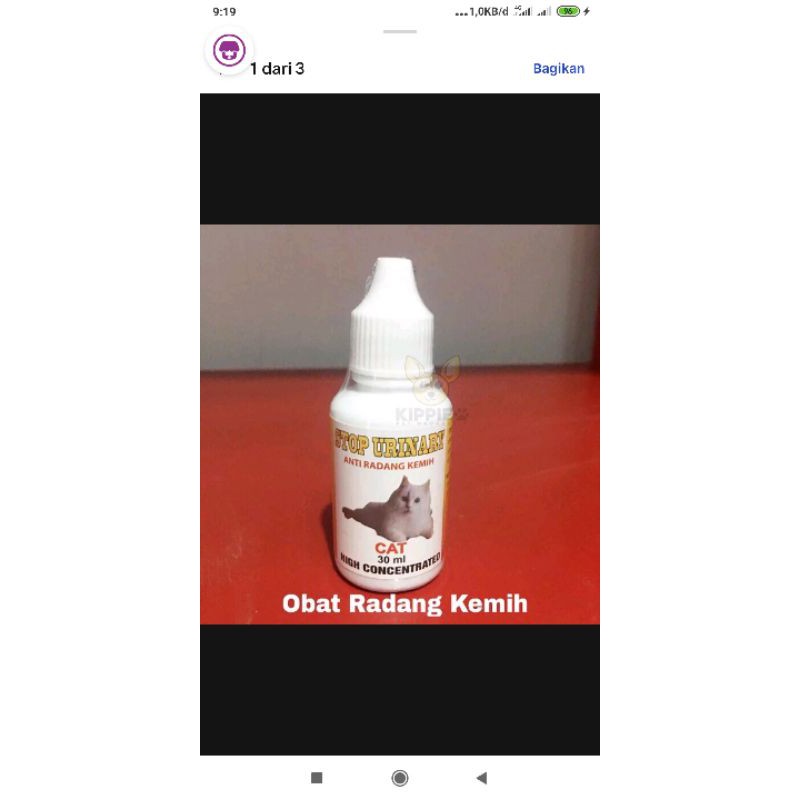 stop urinary obat kucing susah kencing