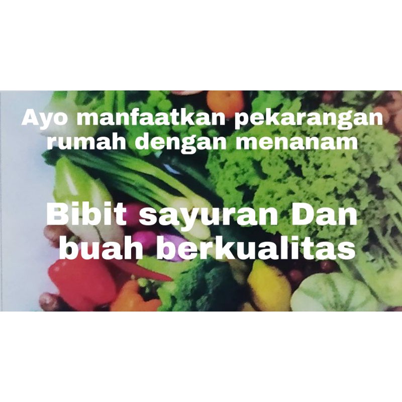 bibit sayuran dan buah berkualitas