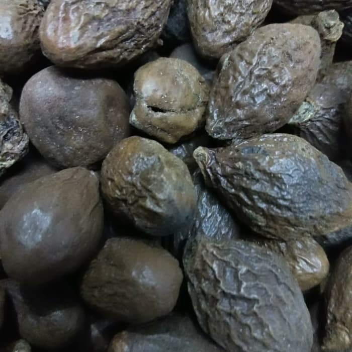 

Buah Tempayang 500 g / Buah kembang semangkok / Beng ta hai Kering Asli Berkwalitas