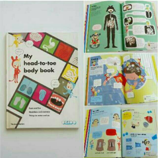 My head to toe body book