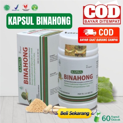 Kapsul Herbal Daun BINAHONG Asli Herbal Tazakka - Obat Luka Pasca Operasi 7x Lebih Cepat Kering Ekstrak AMPUH