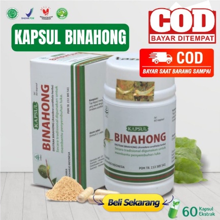 Kapsul Herbal Daun BINAHONG Asli Herbal Tazakka - Obat Luka Pasca Operasi 7x Lebih Cepat Kering Ekstrak AMPUH