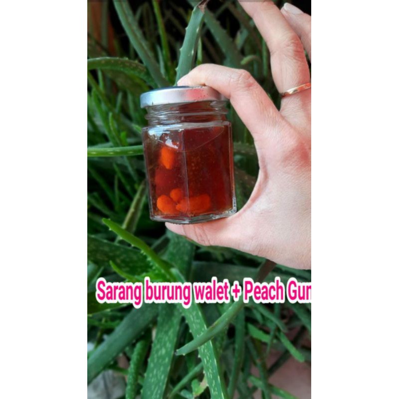 Minuman sarang burung walet