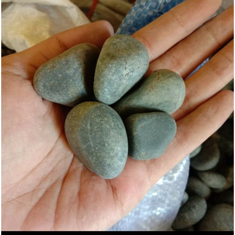 Batu kali size L aquarium