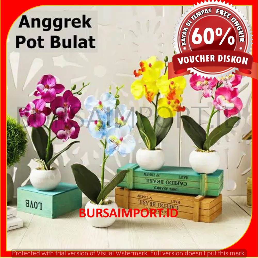 1kg Muat 6 Pcs Bunga Anggrek Bulan Bunga Orchid Bulat Termasuk Pot Bunga Hias Bunga Plastik Shopee Indonesia