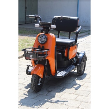 Sepeda Listrik Roda 3 U-Winfly Maleo