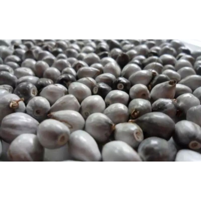

biji jali 1kg