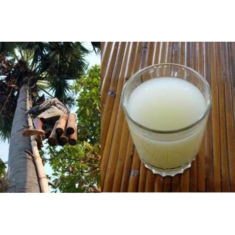 

Air Nira Aren Asli Nira Kawung 100% Tanpa Obat Campuran