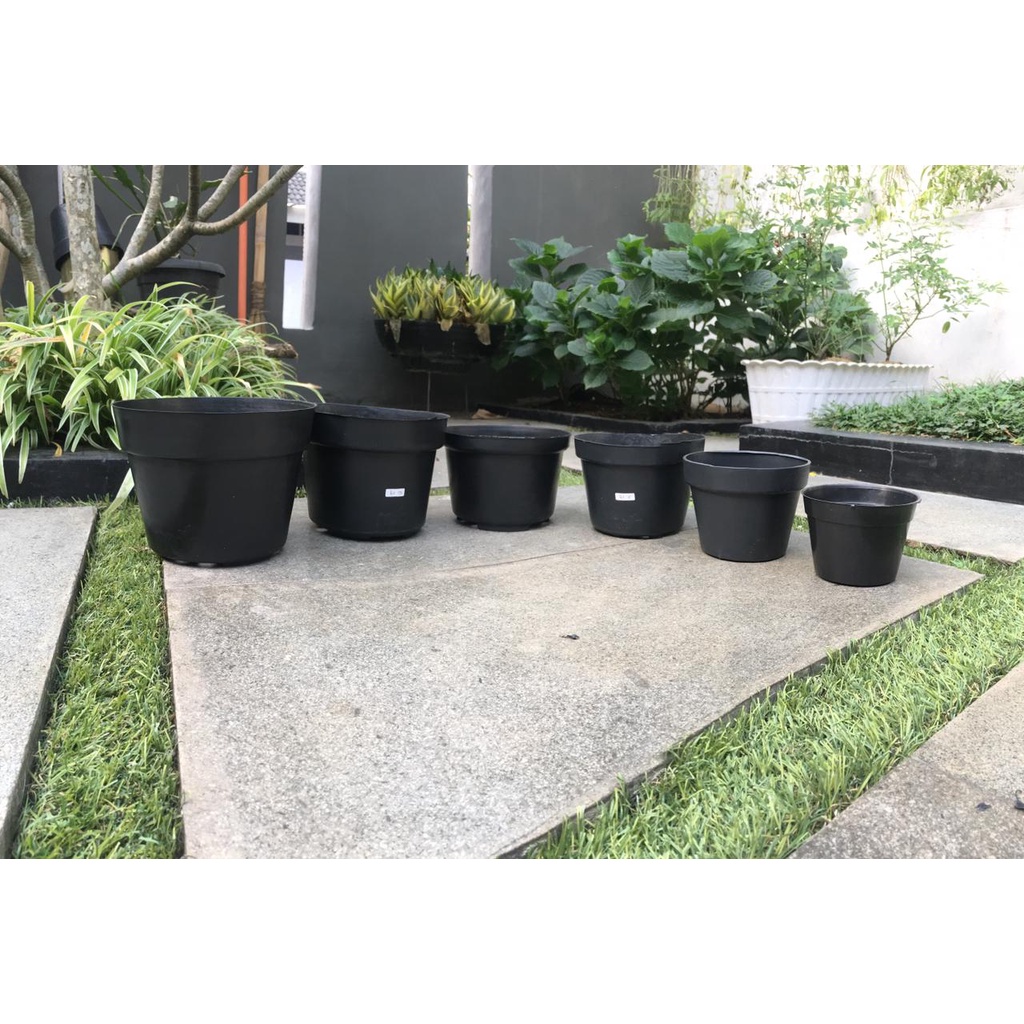 Pot Bunga Murah/ Pot Tanaman / Pot  Plastik hitam uk 10 cm