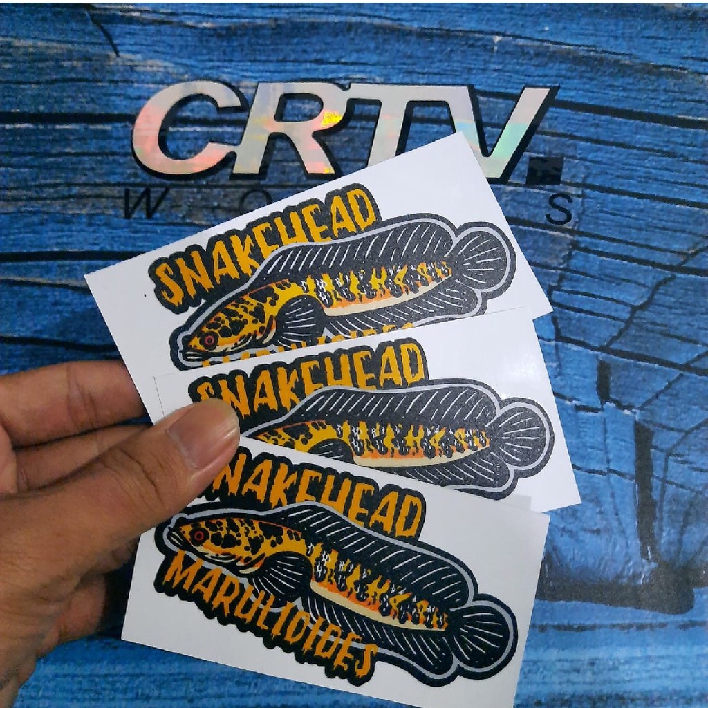 Stiker Ikan Channa Snakehead Marulioides Terlaris - Crtv