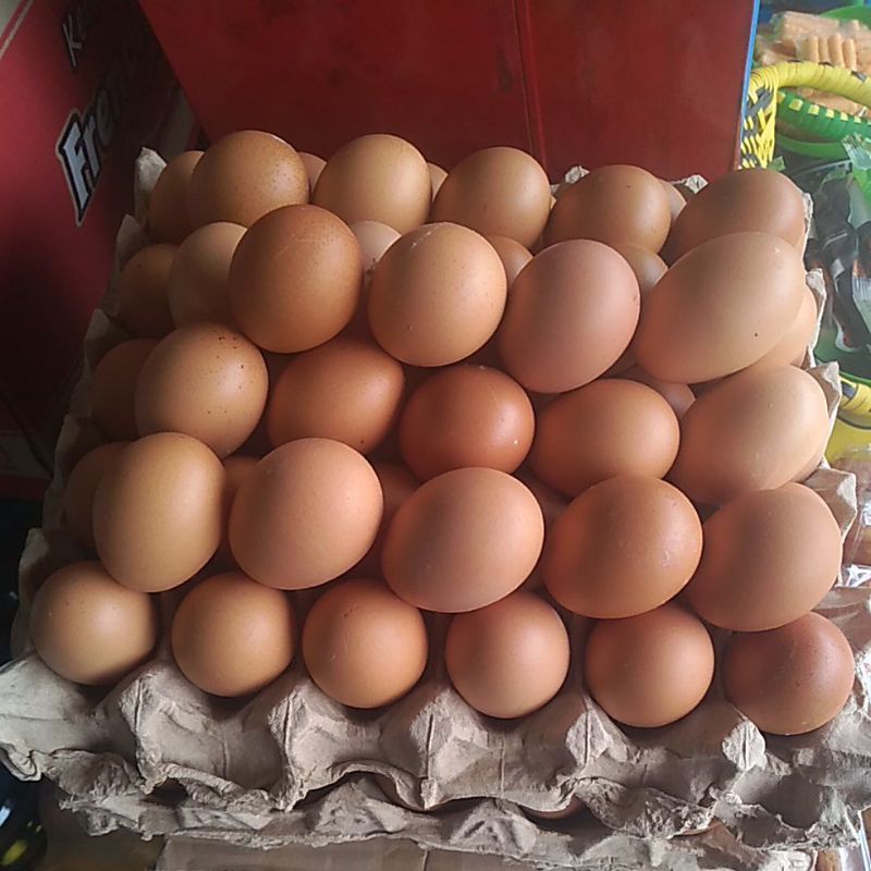 

1kg telur ayam negri