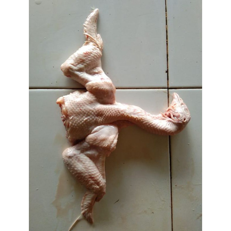 

SAYAP KEPALA AYAM POTONG - 300gr