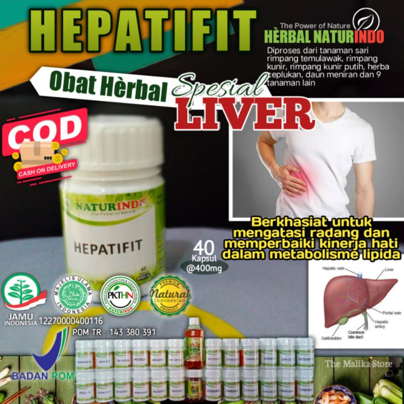 Naturindo Hepatifit Obat Herbal Untuk Liver