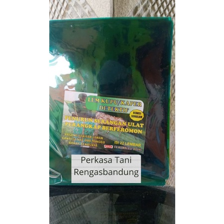 

Lem Kupu/Kaper detektif