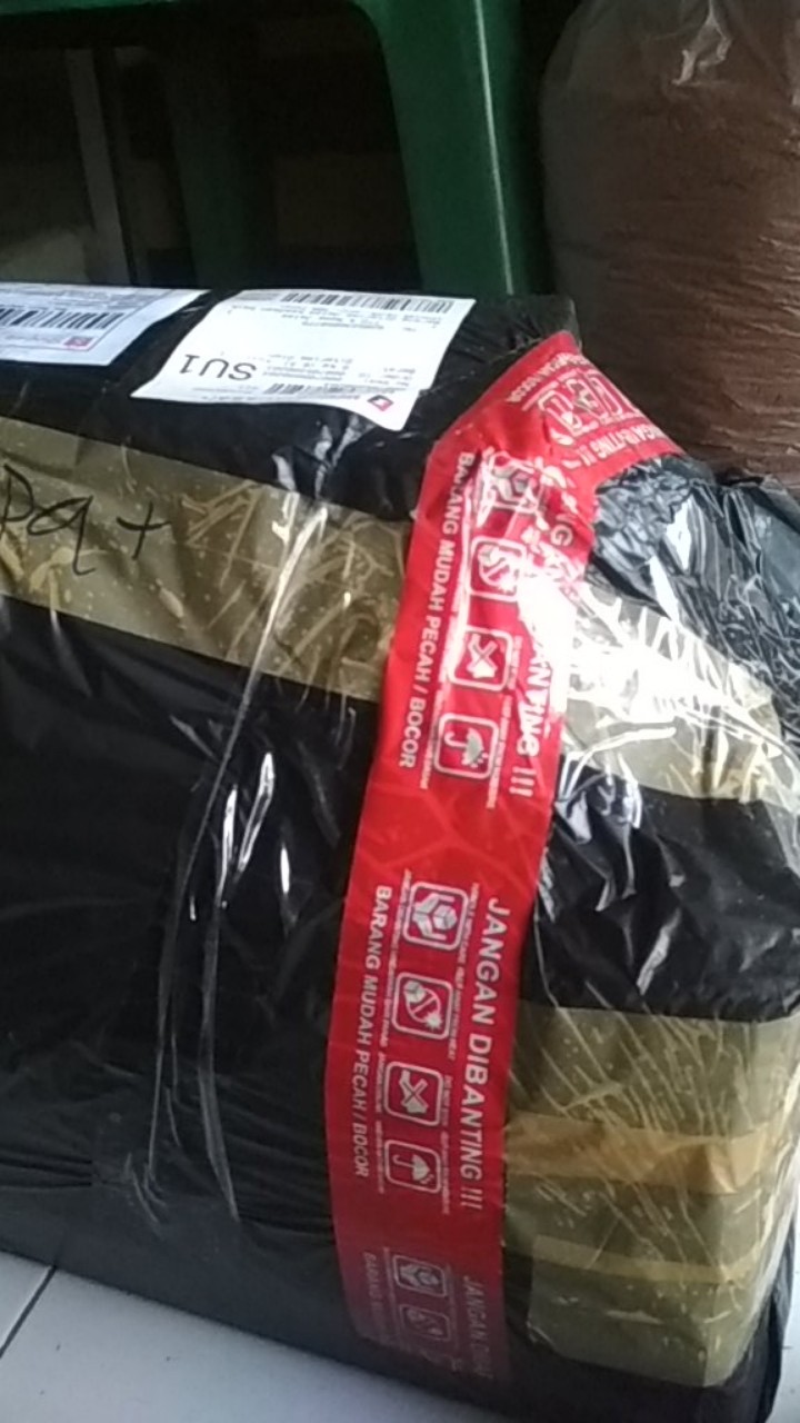 Nampan Alas Tray Semai Traypot Biji Benih Nampan Baki Seedling - Set 6 Pcs