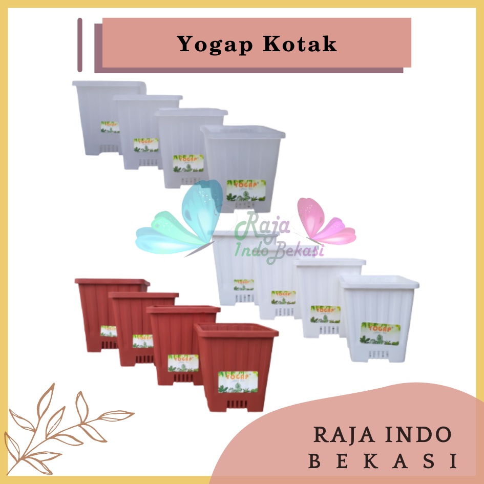 Pot Yogap Kotak 8 10 12 15 Putih Transparan Bening Merah Bata Coklat Terraccota Terakota Orange Pot Segi Empat Hias Pot Yogap 10 13 15 17 18 19 25 30 Pot Yogap Lusinan Pot Kotak Panjang Kecil 8 Cm Tinggi