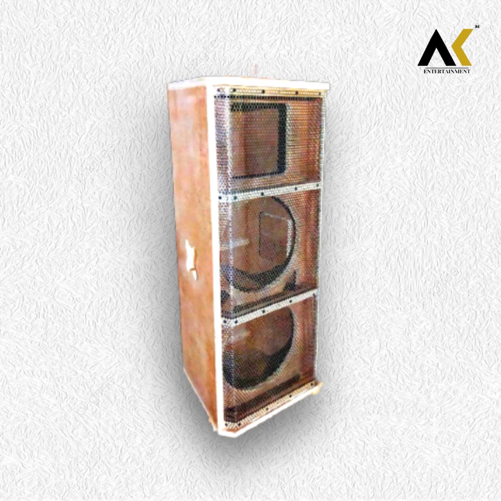 Box speaker SR 12 Inch Costum Twitter 22 x 22