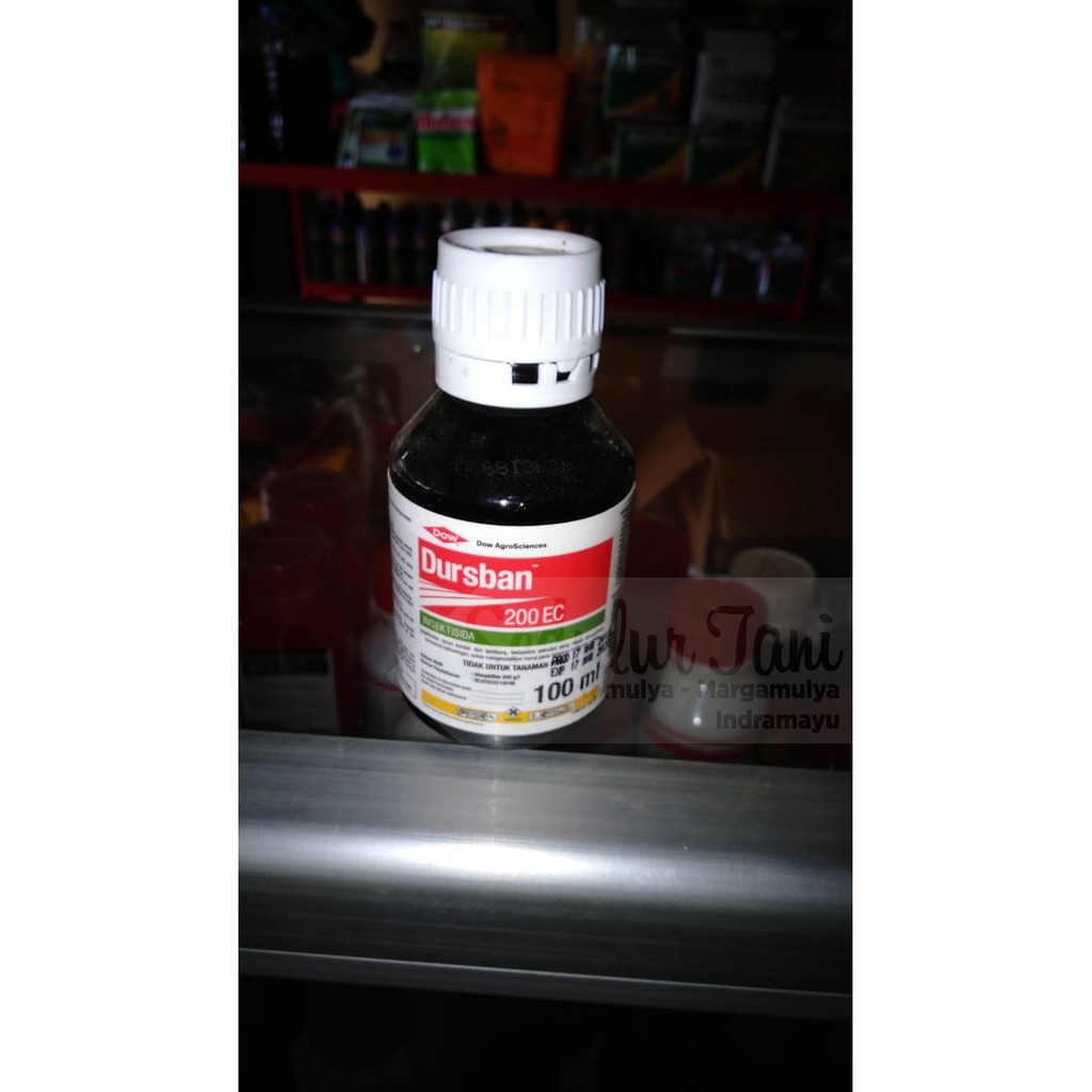 Dursban 200 EC 100ml
