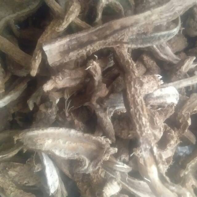 Akar ginseng jawa kering 500 gram