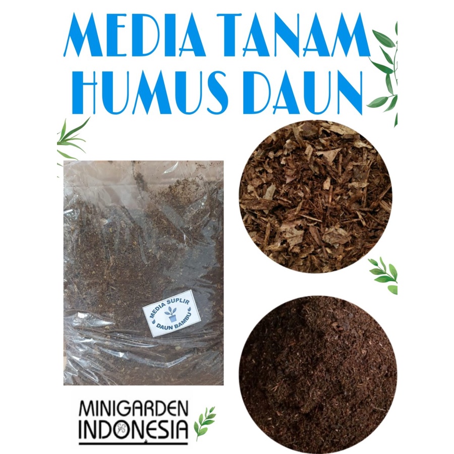 ZAK 4KG MEDIA SUPLIR HUMUS DAUN BAMBU HALUS kompos tanaman aglaonema