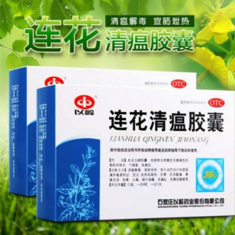 LIANHUA BPOM  QINGWEN JIAONANG isi 24 CAPSUL  ORIGINAL