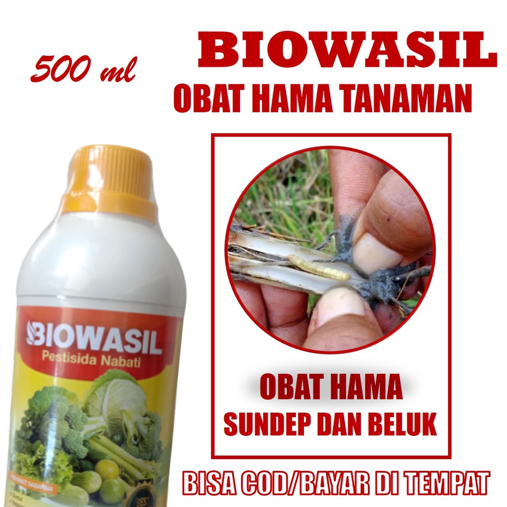 Jual Rekomended Pestisida Semprot Basmi Hama Sundep Dan Beluk Padi Biowasil 500 Ml Pupuk 1980